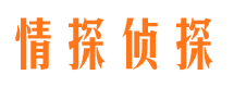 平山市侦探调查公司